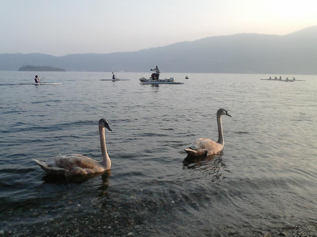 B&B Il Castello Lago Maggiore Con Terrazza Cossogno 외부 사진